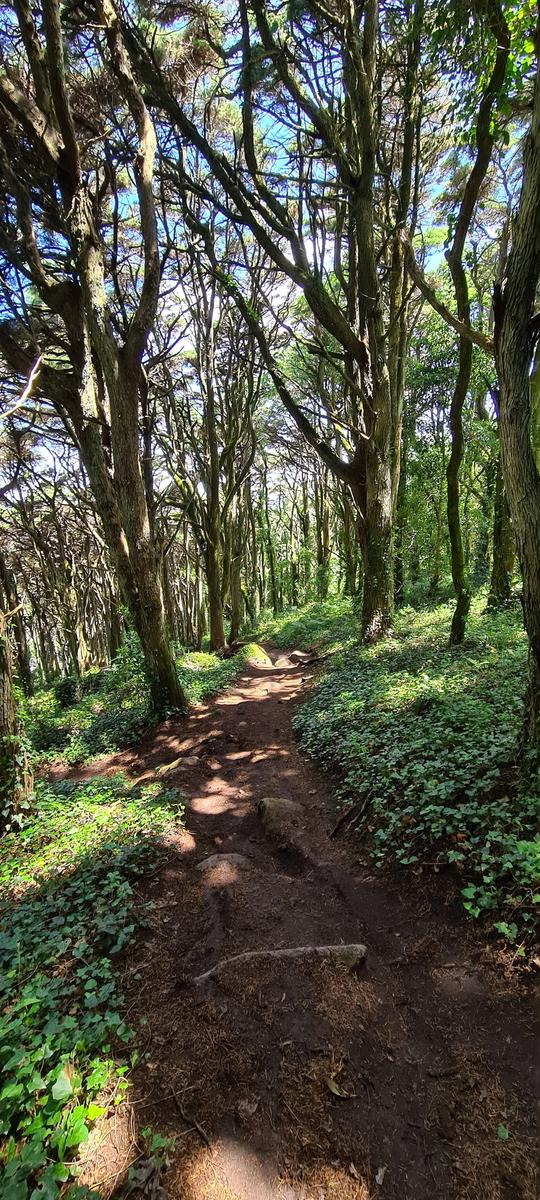 Senhora da Peninha Sintra